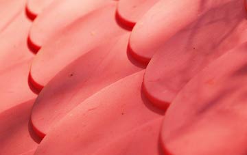 Crows Nest plastic roof costs