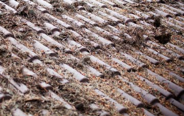 Crows Nest roof cleaning companies